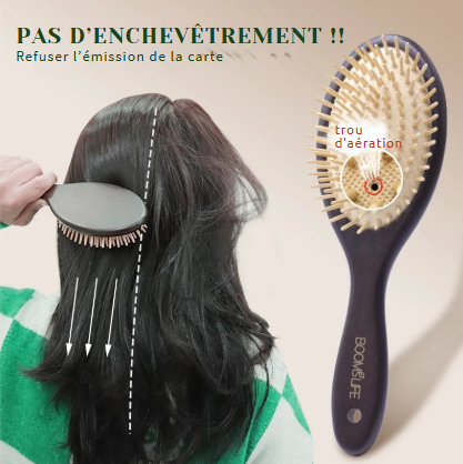 Brosse à Cheveux à la Ligne pour Femme