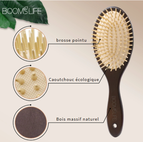 Brosse à Cheveux à la Ligne pour Femme