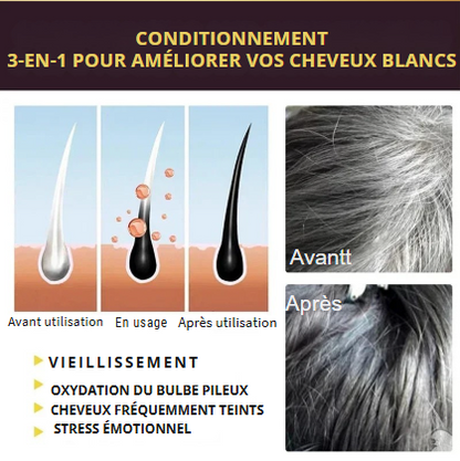 Shampooing Teinture Cheveux Noirs