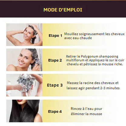 Shampooing Teinture Cheveux Noirs